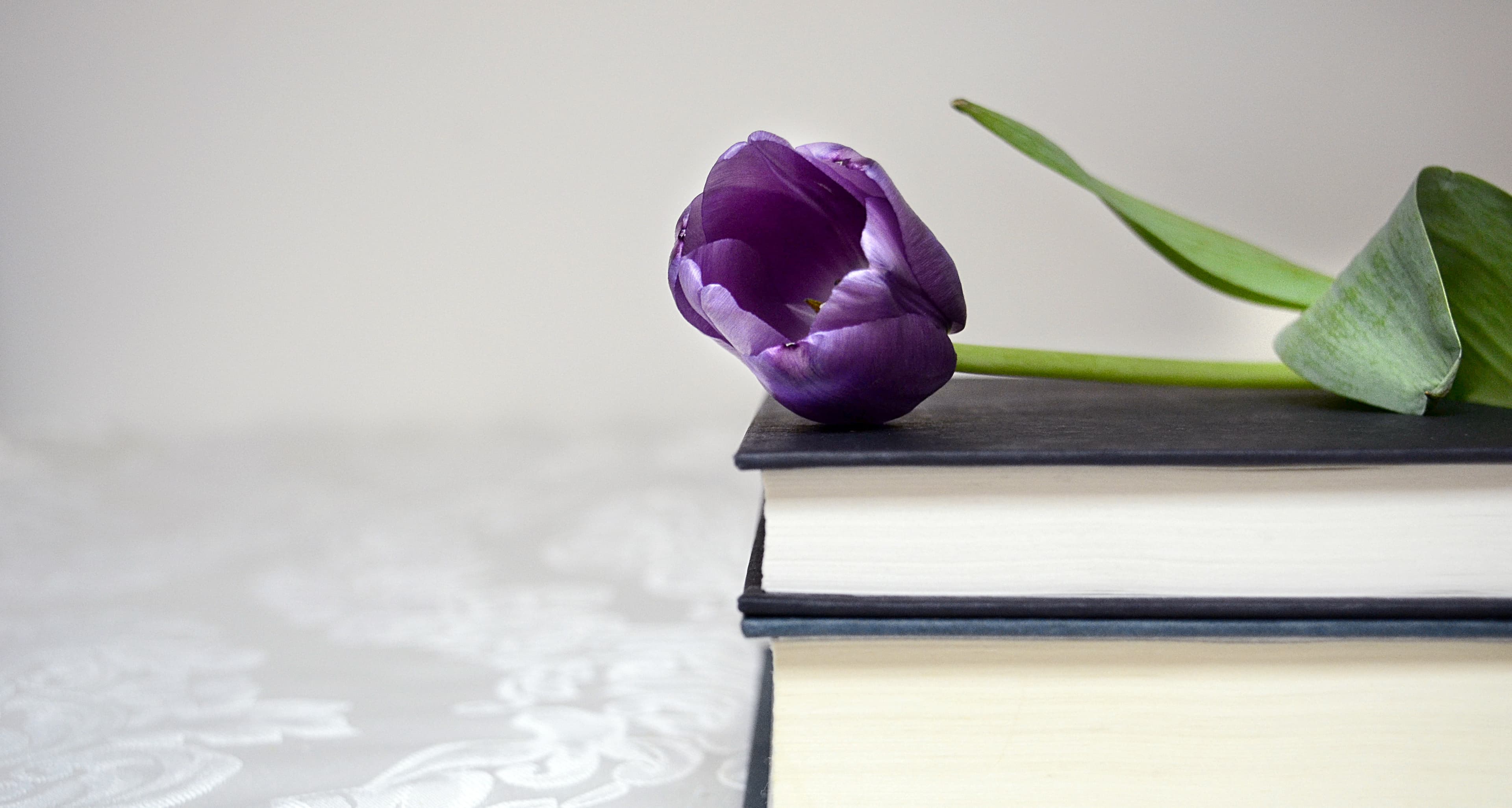 Blume liegt auf Buch